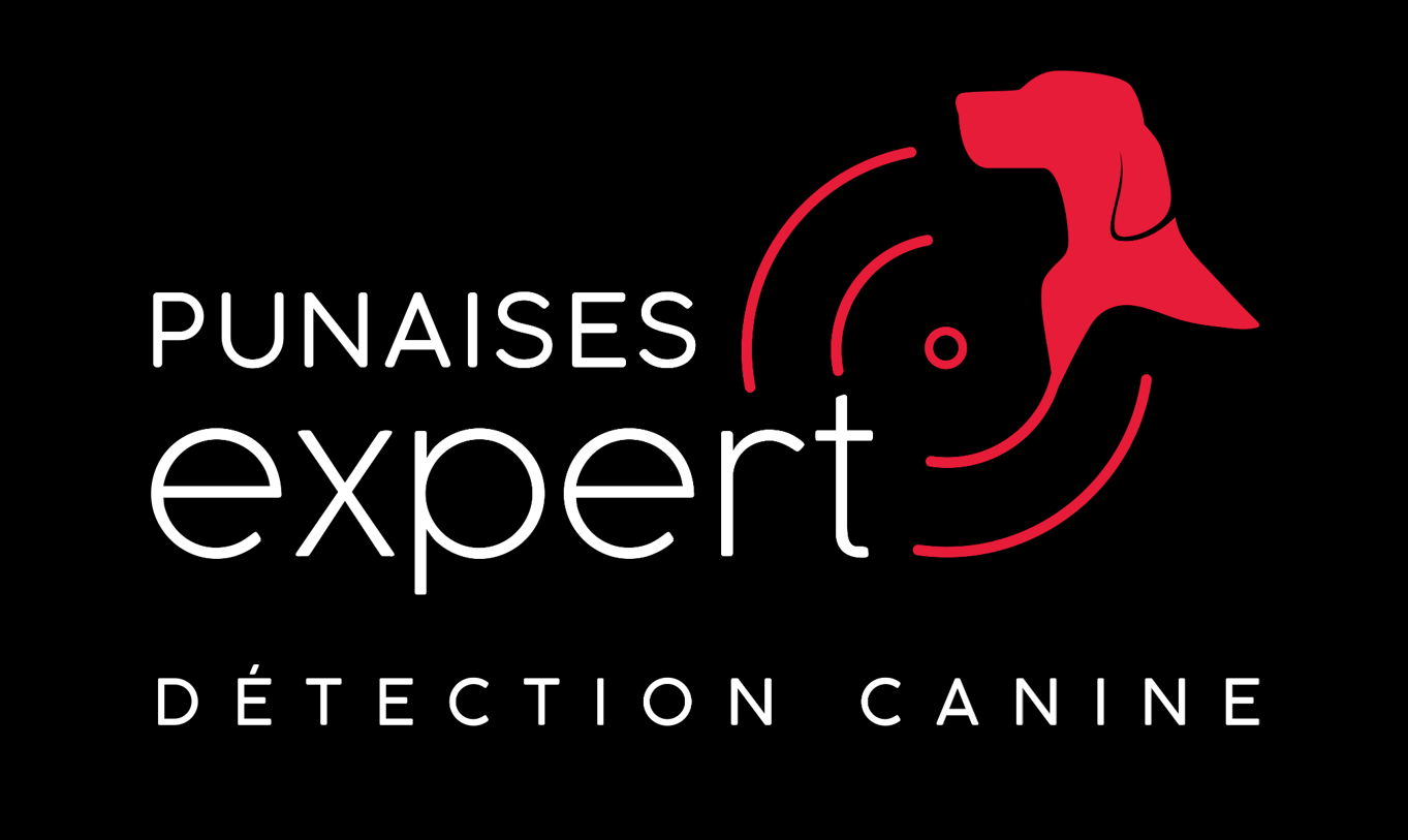 PUNAISES EXPERT